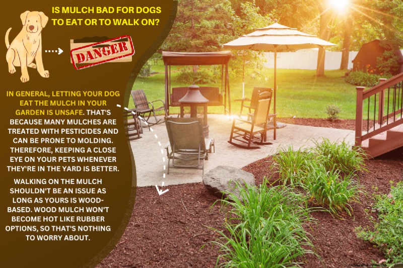 Is Mulch Bad For Dogs To Eat Or To Walk On? – Here’s What You Need To Know!