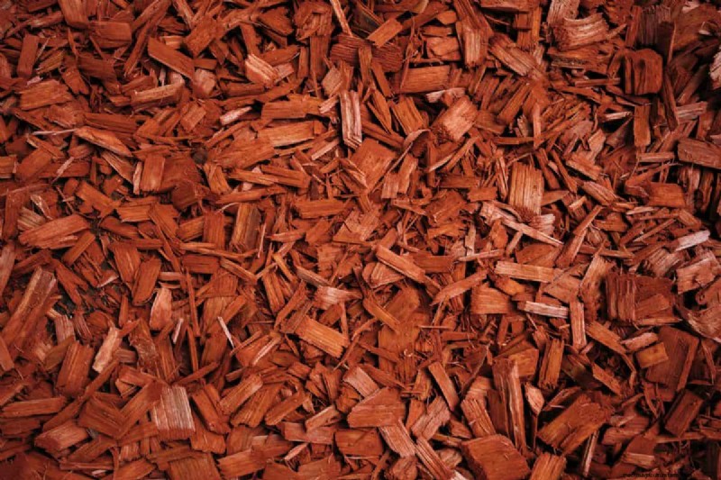 Is Mulch Bad For Dogs To Eat Or To Walk On? – Here’s What You Need To Know!