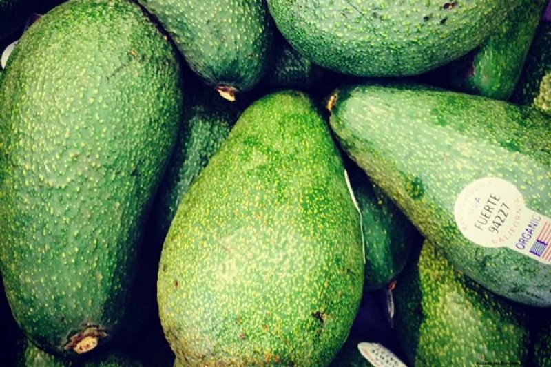 Avocado Growing Guide: Timeline & Care for Home Growers