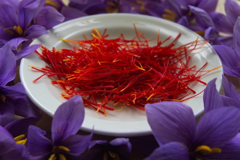Indoor Saffron Farming in India: A Comprehensive Guide to Training, Costs & Profits