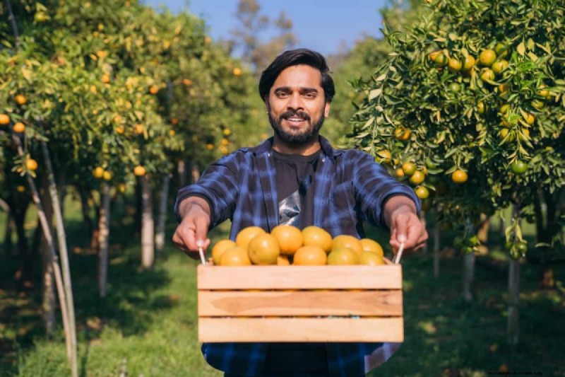 Brazil s Orange Production Surge: Meeting Global Demand