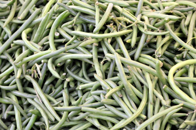 Beans Farming in Kenya: A Comprehensive Guide for Farmers
