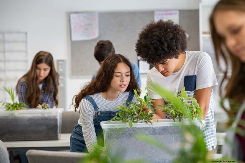 Hydroponics in Education: STEM Learning & Sustainability for Schools