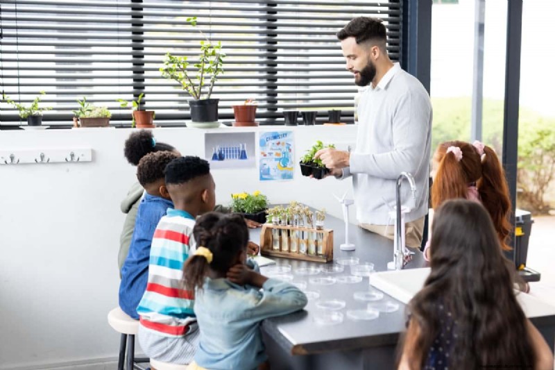 Hydroponics in Education: STEM Learning & Sustainability for Schools