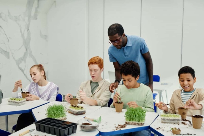 Hydroponics in Education: STEM Learning & Sustainability for Schools