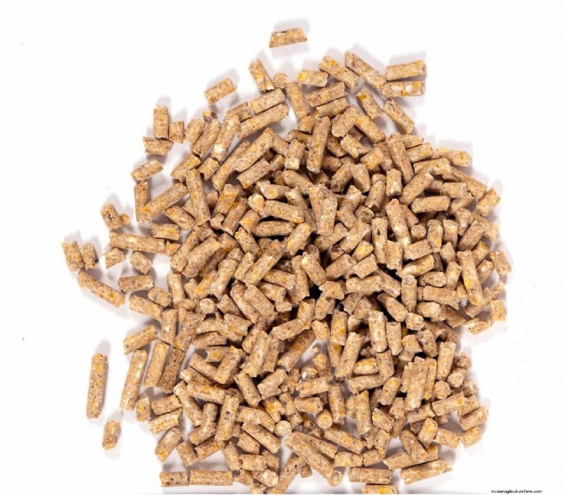 Reduce Feed Costs & Boost Profits with Ruminant Enzymes