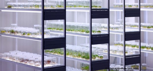Tissue Culture Contamination: Identification & Control | PPM™ Biocoupler™