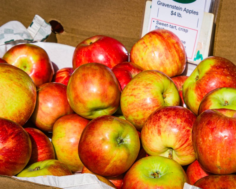 Heirloom Apples: A Guide to Cultivating Unique Varieties