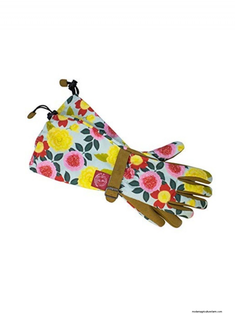 Top Mother s Day Gifts for Garden-Loving Moms | [Your Brand/Website Name]