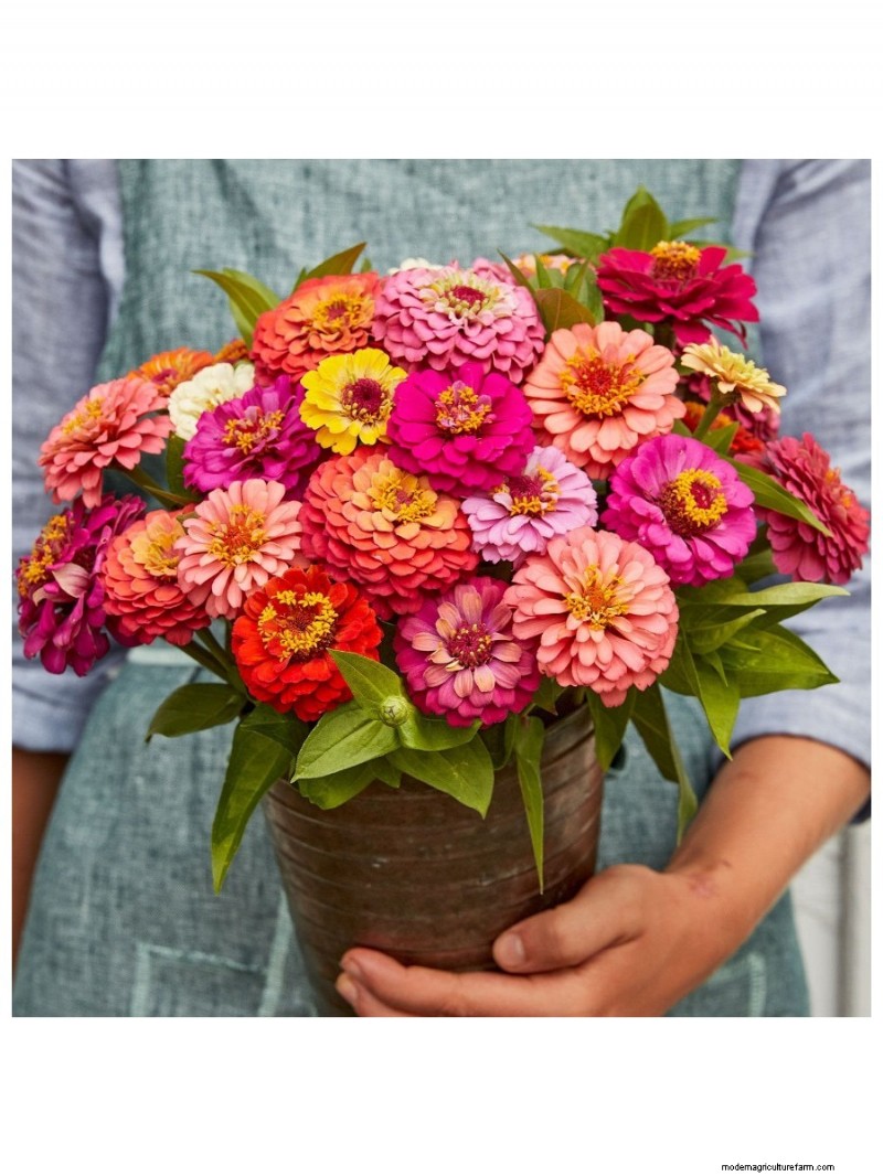 Top Mother s Day Gifts for Garden-Loving Moms | [Your Brand/Website Name]