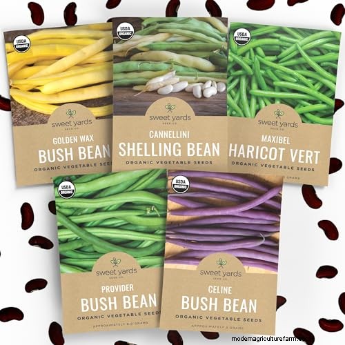 Best Vegetables to Plant in May for a Bountiful Summer Harvest