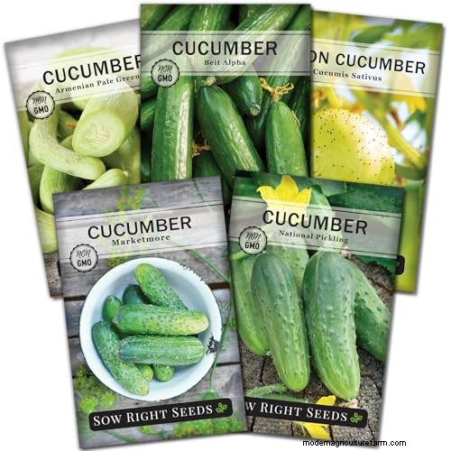 Best Vegetables to Plant in May for a Bountiful Summer Harvest