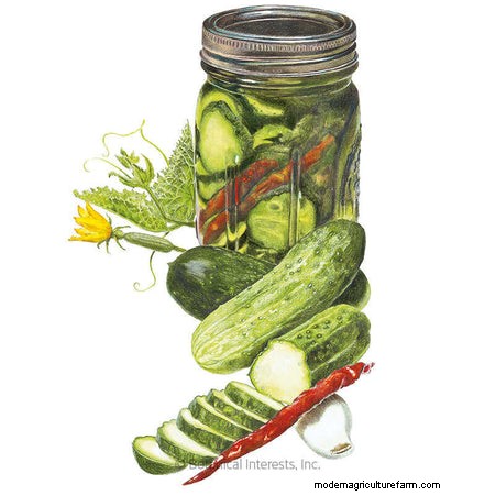 Best Vegetables to Plant in May for a Bountiful Summer Harvest