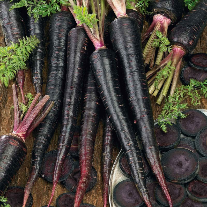 Best Vegetables to Plant in May for a Bountiful Summer Harvest