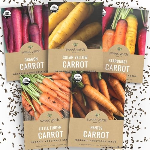 Best Vegetables to Plant in May for a Bountiful Summer Harvest