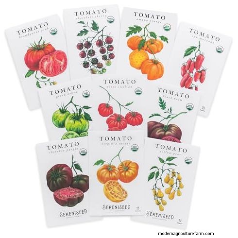 Best Vegetables to Plant in May for a Bountiful Summer Harvest