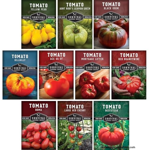Best Vegetables to Plant in May for a Bountiful Summer Harvest