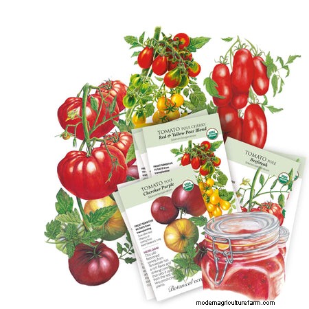 Best Vegetables to Plant in May for a Bountiful Summer Harvest