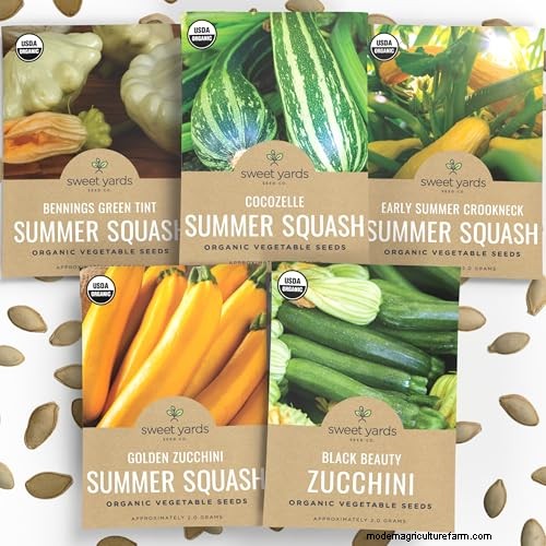 Best Vegetables to Plant in May for a Bountiful Summer Harvest