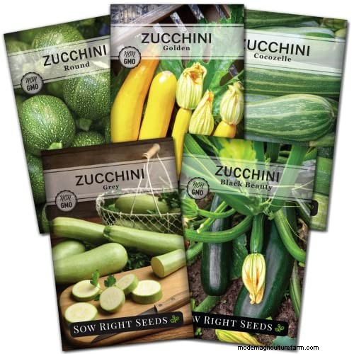 Best Vegetables to Plant in May for a Bountiful Summer Harvest