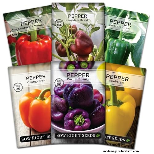 Best Vegetables to Plant in May for a Bountiful Summer Harvest