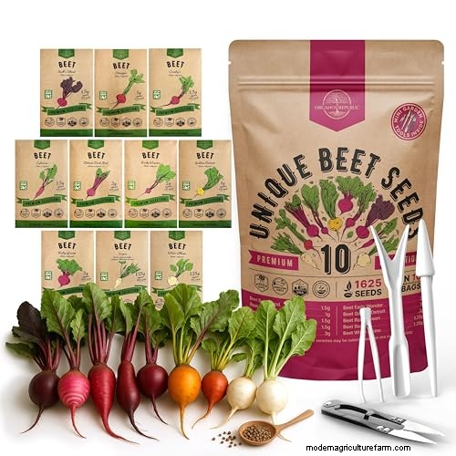 Best Vegetables to Plant in May for a Bountiful Summer Harvest