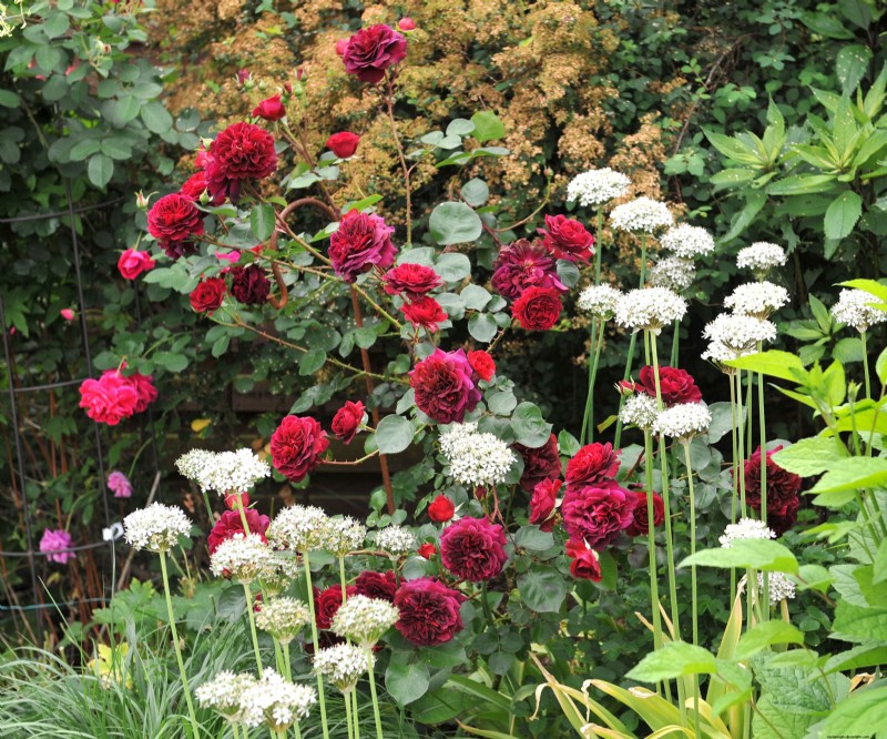 Historical Garden Design: Planting Ideas Inspired by Every Decade