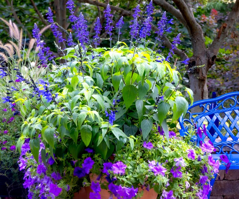Historical Garden Design: Planting Ideas Inspired by Every Decade