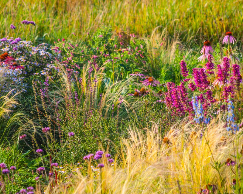 Historical Garden Design: Planting Ideas Inspired by Every Decade