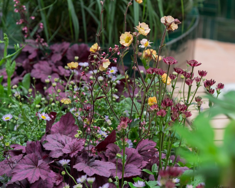 Historical Garden Design: Planting Ideas Inspired by Every Decade