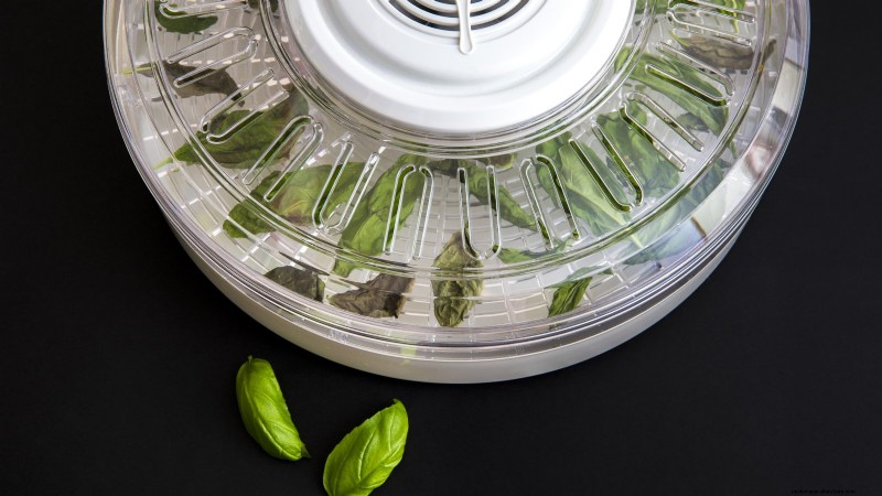 Preserve Your Basil: 3 Easy Drying Methods for Flavorful Herbs