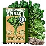 Grow Spinach: A Comprehensive Guide to Cultivating Nutritious Spinach