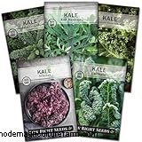 Kale Growing Guide: Cultivating & Caring for Brassica Oleracea