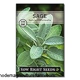 Growing & Caring for Sage (Salvia officinalis): A Comprehensive Guide