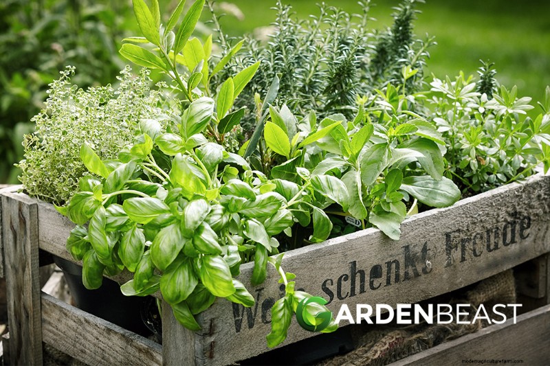 Edible Landscaping: Design & Grow a Beautiful, Productive Garden