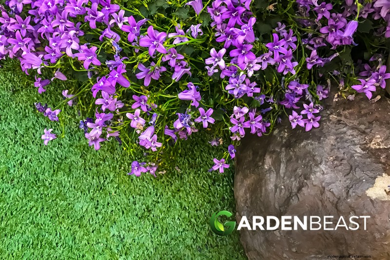 Edible Landscaping: Design & Grow a Beautiful, Productive Garden