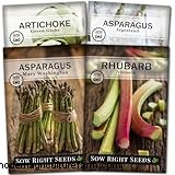 Rhubarb (Rheum rhabarbarum): Growing & Care Guide for Delicious Stalks