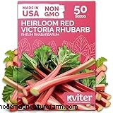 Rhubarb (Rheum rhabarbarum): Growing & Care Guide for Delicious Stalks