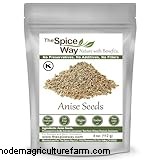 Anise Plant (Pimpinella anisum): Growing & Care Guide
