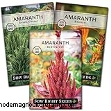 Growing Amaranth: A Guide to Planting & Harvesting