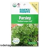 Parsley Growing & Care Guide: A Complete Handbook for Fresh Herbs
