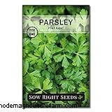 Parsley Growing & Care Guide: A Complete Handbook for Fresh Herbs