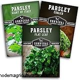 Parsley Growing & Care Guide: A Complete Handbook for Fresh Herbs