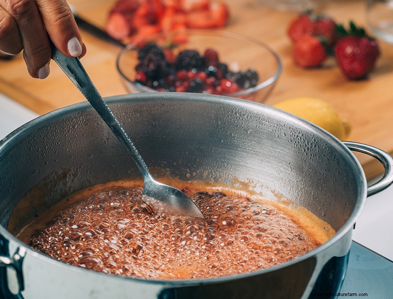 Preserving Fruit: 8 Proven Methods to Prevent Waste