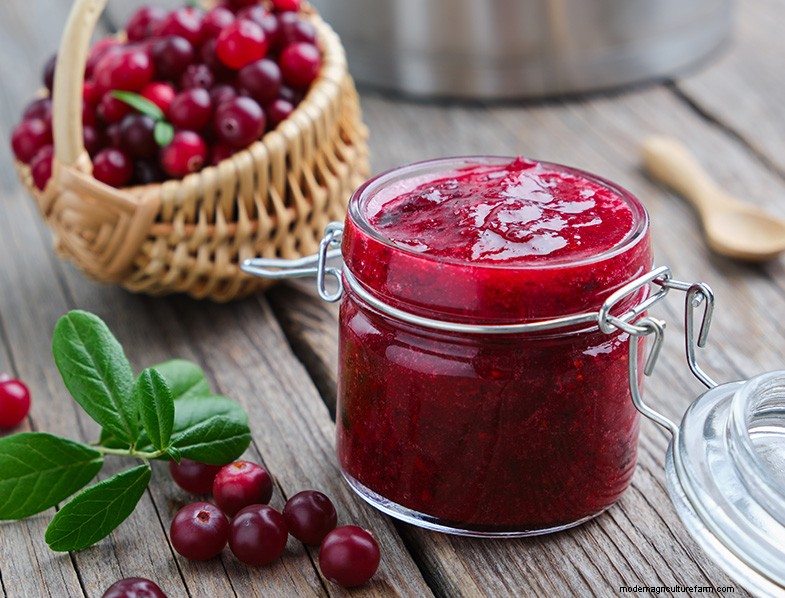 Preserving Fruit: 8 Proven Methods to Prevent Waste