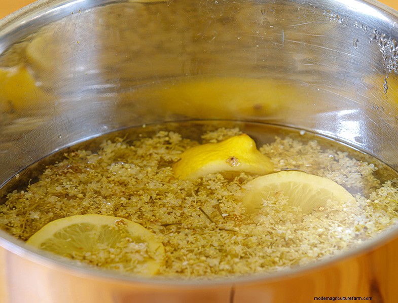 Preserving Fruit: 8 Proven Methods to Prevent Waste