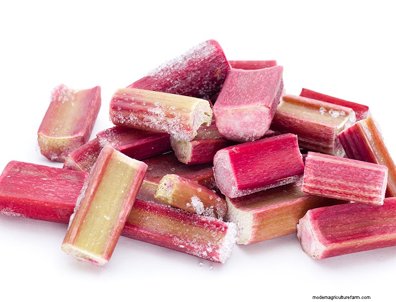 Preserving Fruit: 8 Proven Methods to Prevent Waste