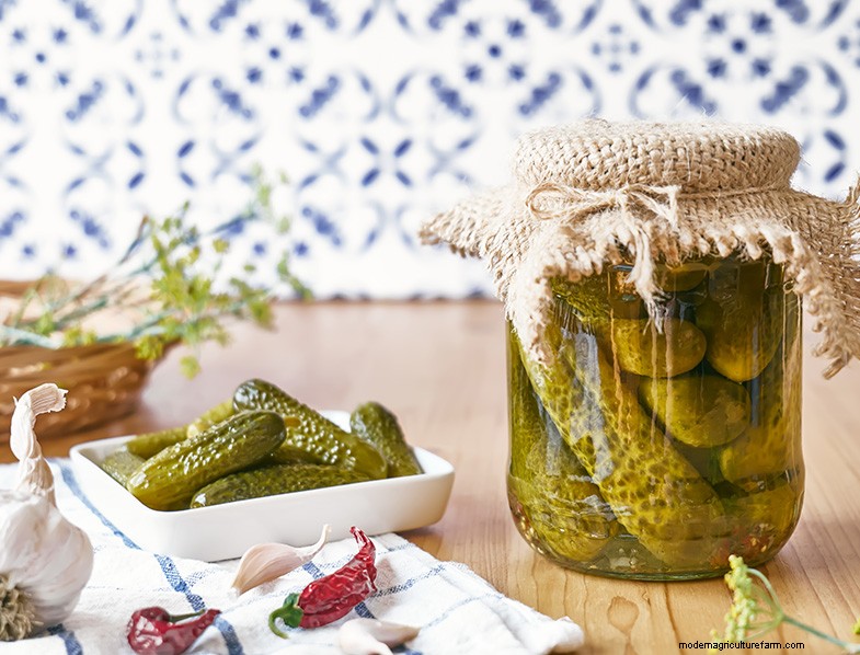 Preserving Fruit: 8 Proven Methods to Prevent Waste