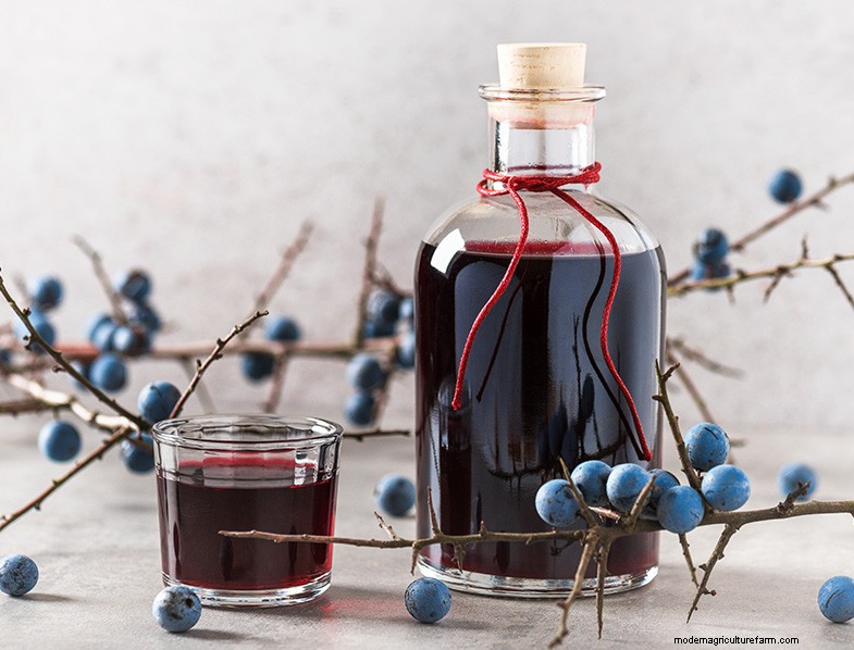 Preserving Fruit: 8 Proven Methods to Prevent Waste