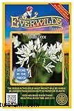 Wild Leek (Allium Ampeloprasum): Growing & Care Guide